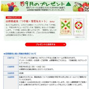 おいしい山形 9月のプレゼントの詳細