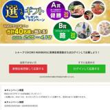 ���٤륮�եȥץ쥼��ȥ����ڡ���γ���