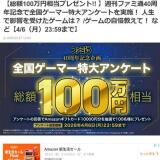 ���񥲡��ޡ����祢�󥱡��Ȥγ���