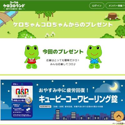 ��������󥳥�����󤫤�Υץ쥼��Ȥξܺ�