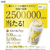 ̤��ΥΥ󥢥���󥵥��ȯ�䥭���ڡ���γ���