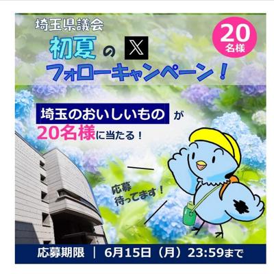 初夏のSNSフォローキャンペーンの詳細