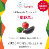 Hi�� kewpie �ߥå����ֲ���ڡפγ���