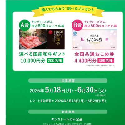 あなたのオーラルケア応援しますキャンペーンの詳細