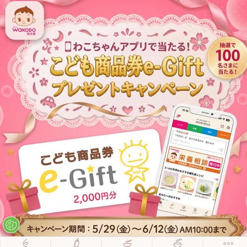 ���ɤ⾦�ʷ� e-Gift�ץ쥼��ȥ����ڡ�����¸�Ʋ�ξܺ�