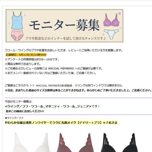 レビューモニター募集!の詳細