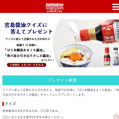 HP訪問者PRESENTの詳細