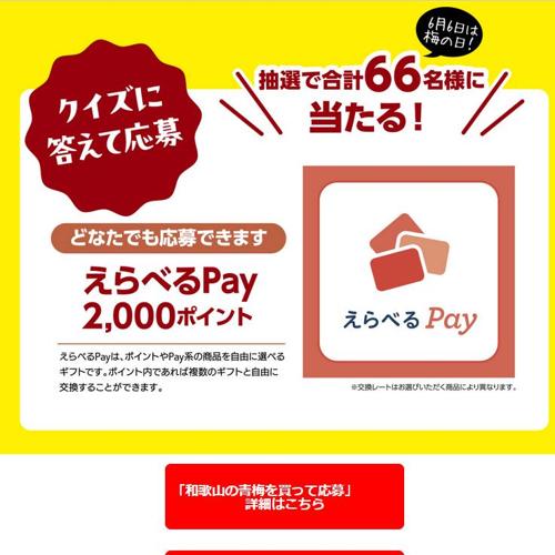 初夏の楽しみ 梅しごと キャンペーンの詳細