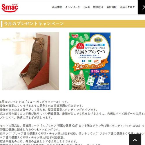 今月のプレゼントキャンペーンの詳細