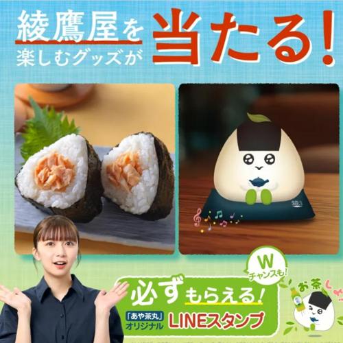 ���벰��ڤ��॰�å��������롪�ξܺ�