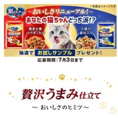 銀のスプーンおいしさ実感お試しプレゼントキャンペーンの概要