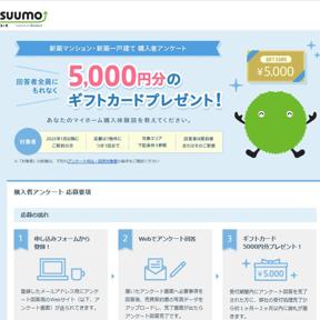 ���ۥޥ󥷥������ԥ��󥱡��Ȥξܺ�