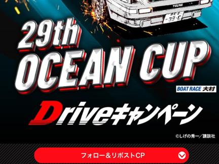 29th OCEAN CUP Driveڡγ