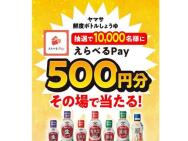 ٤Pay(500ʬ)