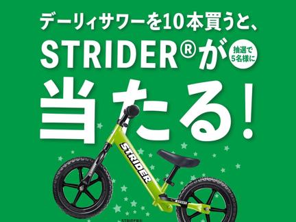 STRIDER٤Żҥޥ͡(500ʬ)