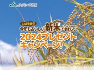 븩ƥץ쥼ȥڡ2024븩ƿ٤١븩ڥܥå븩ڢ300̾