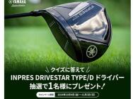 ڥʤ륭ڡYAMAHA INPRES DRIVESTAR TYPE/D ɥ饤С1̾