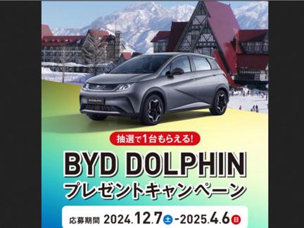 BYD DOLPHIN(Standard)2025ƥۥƥ륰꡼ץ饶ۤν