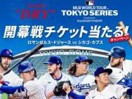 MLB WORLD TOUR TOKYO SERIES 2025 åȡꥸʥ꥿֥顼530̾