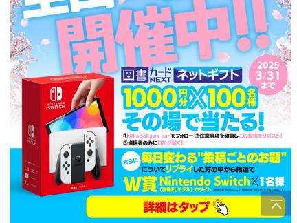 ޽񥫡ɥͥåȥե(1,000ʬ)Nintendo Switch