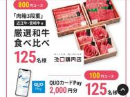 νФۤХڡ󡡡Ȣ3ʽš׸µ١QUOPay(2,000ʬ)250̾