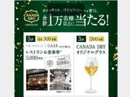 ٤ǥݥ 300ʬCANADA DRY ꥸʥ륰饹쥹ȥ󤪿(5,000ʬ)15,800̾