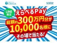 ٤Pay 5,000ݥȡ٤Pay 1,000ݥȡ٤Pay 120ݥȢ10,000̾