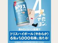 ȥꥹ餫ȯ䥭ڡ󡡥ȥꥹϥܡҤ餫 6̥åȢ1,000̾
