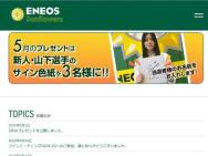 SUNFLOWERS FAN Υץ쥼ȡ͡Υ󿧻3̾