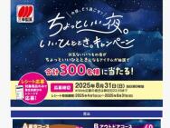 ѥץͥꥦ ۡॹü򥫥եȡۤۻҵͤ碌BOX ʤɢ300̾