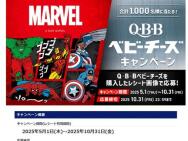 ǥˡץ饹 ǥ륮եȥɡ֥󥱥å  å󡢥ꥸʥǥ ޥåע1,000̾