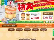 ץåץХå롪ڡץåץ Хå٤Pay(500ʬ)2,040̾