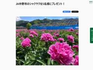 JAԤΥ㥯䥯