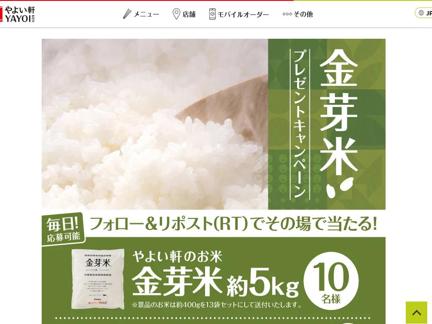 (5kg)褤(1,000ʬ)