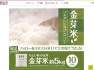 ƥץ쥼ȥڡ󡡶(5kg)褤(1,000ʬ)40̾