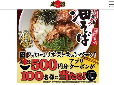 500ʬδݸ顼Υץꥯݥ