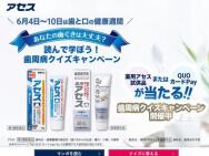 ¥ڡQUOPay(1,000ʬ)ѥ (2)300̾