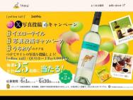2 ƥ륭ڡQUOPay4,000ʬyellow tailMOSCATO25̾