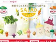 ڤäȤڤ٤ SALAD de SMILE ڡ󡡼θåȡƻҥץ3,000̾