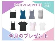 GOCOCi֥åդʡס֥ Х 拾֥󥺥(Ⱦµ) ʤ