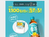 оʤƤξ롪䤫1 Coke ONɥ󥯥åȡӥ1,050̾