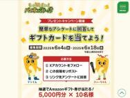 äΤꤿХΡ ץ쥼ȥڡAmazonեȷ(5,000ʬ)10̾