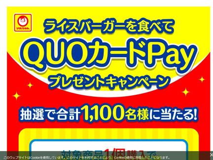 QUOPay 1,000ʬQUOPay 5,000ʬ