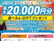 ٤e-GIFT 20,000ʬ