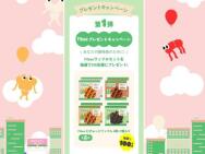 Fibee ץ쥼ȥڡ 1ơFibeeåե륻åȢ100̾