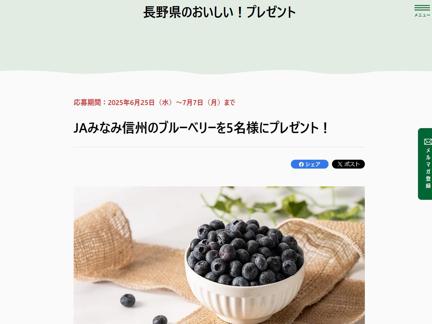 JAみなみ信州のブルーベリー