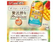 AsahiPark ڡ󡡥ץߥ̸ޥ󥴡100̾