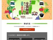 ᤶƥڡ ڤԡ4KվTV AQUOS 50V ֥롼쥤 ʤɢ37̾