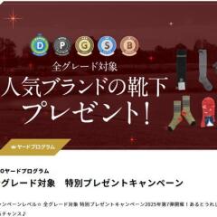 GDO䡼ɥץ७ڡ󡡥˥塼Х ϥå ǥ饳 ֥饤󥽥å ʤɢ34̾