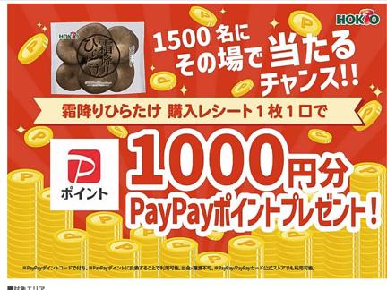 PayPayݥ(1,000ʬ)